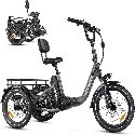 ADDMOTOR CITYTRI E-310 Plus Electric Trike for Adults, 750W Rear Motor