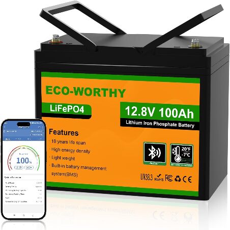 ECO-WORTHY 12V 100AH LiFePO4