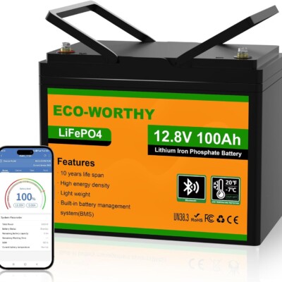 ECO-WORTHY 12V 100AH LiFePO4