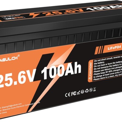 24V 100Ah LiFePO4 Lithium Battery Built-in 100A